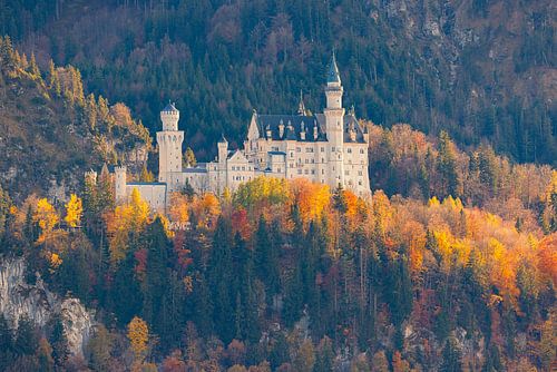 Seitenansicht von Schloss Neuschwanstein, Bayern, Deutschland von Henk Meijer Photography