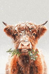 Highlander im Winter knabbern Fröhliches Porträt mit Weihnachtsgrün