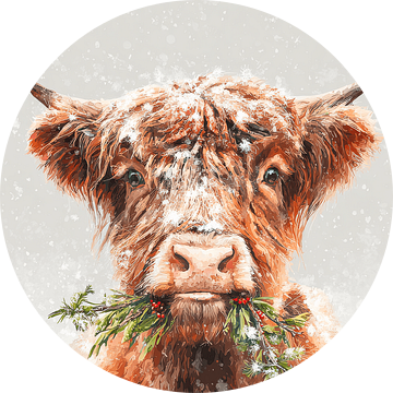 Hooglander in Winterse Knabbel Vrolijk Portret met Kerstgroen