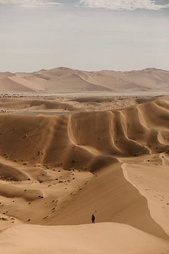 Het golvende lanschap van de Sossusvlei in Namibië van Leen Van de Sande