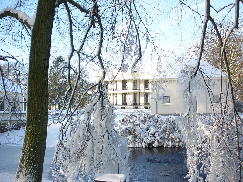 Kasteel de Vanenburg in de Winter von Veluws