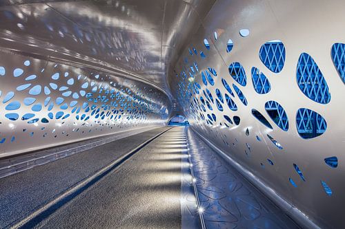 Pont du parc illuminé la nuit, Anvers