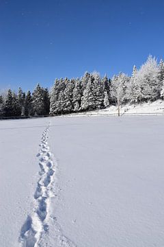 Het recreatieterrein in de winter van Claude Laprise