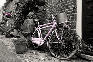 Vieux vélo lilas