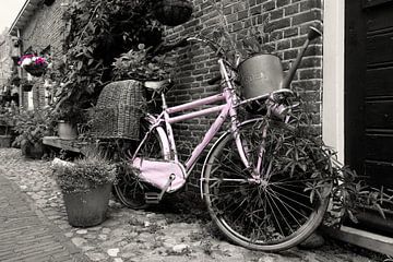 Old lilac bicycle