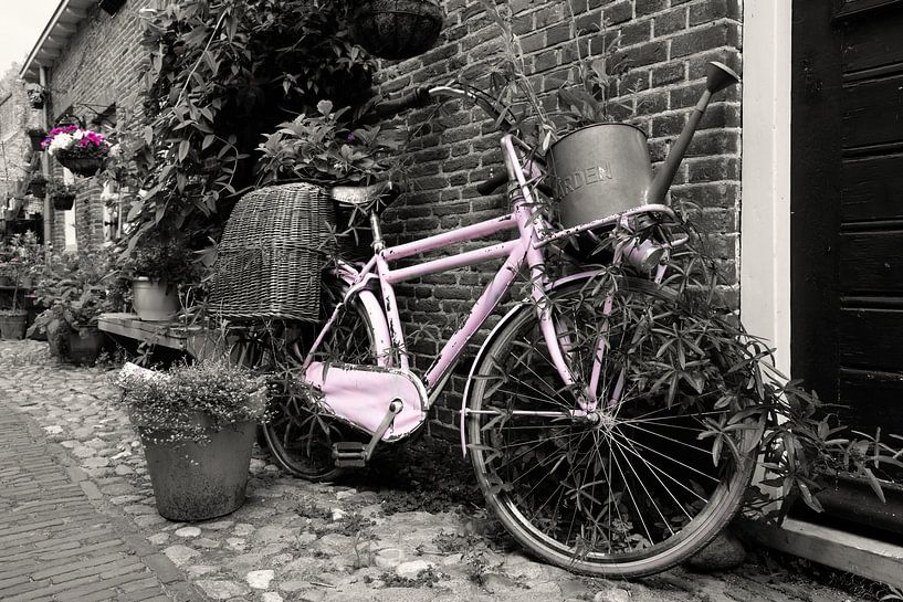 Altes fliederfarbenes Fahrrad von Framed by Elisabeth