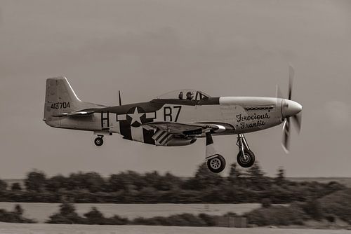 North American P-51 Mustang "Ferocious Frankie".