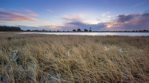 Braakhuizense Heide 14