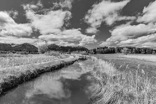 beim Hopfensee im Allgäu