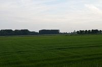 Natuur Nederland rotterdam