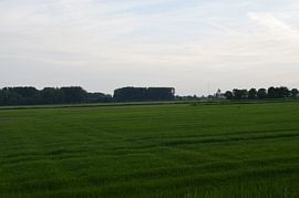 Natur Niederlande rotterdam von falko visser