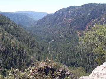 Yosemite National Park van Jeffrey de Ruig