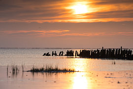 Sonnenuntergang auf den dänischen Watteninseln
