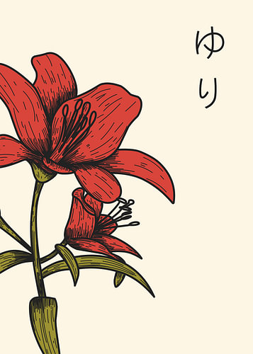 Lilienblüte
