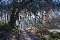 Berg en Dal, Nederland #2 van DuFrank Images thumbnail