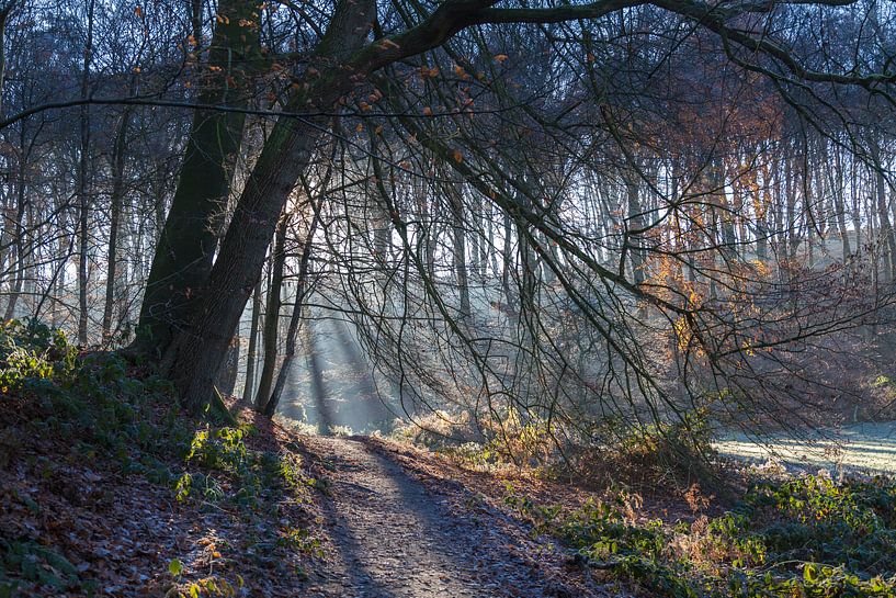 Berg en Dal #2, The Netherlands by DuFrank Images