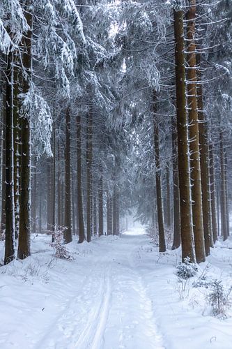 Prachtig winterlandschap op de hoogten van het Thüringer Wald