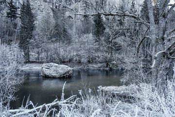 De Donau bij Fridingen in de winter met rijp - Natuurpark Opper-Donau van BlattArt - Christine Horn
