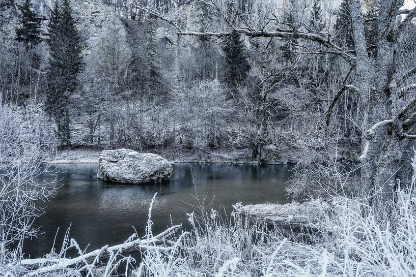 Die Donau bei Fridingen im Winter mit Raureif - Naturpark Obere Donau von BlattArt - Christine Horn