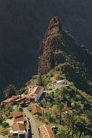 Masca, Tenerife: rocky backdrop and palm trees in the island village