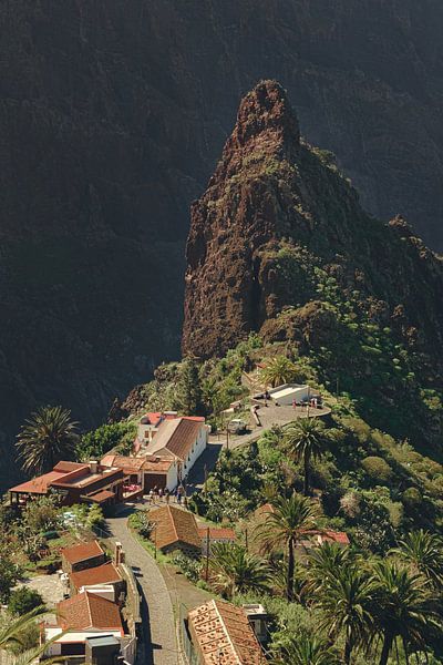 Masca, Ténérife : décor de rochers et palmiers dans le village insulaire par NZME Photography