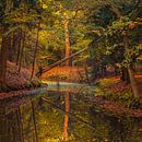 Herbst im Slochter Wald von Henk Meijer Photography Miniaturansicht
