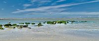 Uitwatering Katwijk.