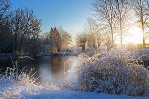 bevroren meer en besneeuwde struiken na zonsopgang, landschap op een koude winterdag, kopieerruimte van Maren Winter