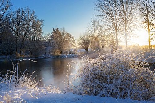 bevroren meer en besneeuwde struiken na zonsopgang, landschap op een koude winterdag, kopieerruimte