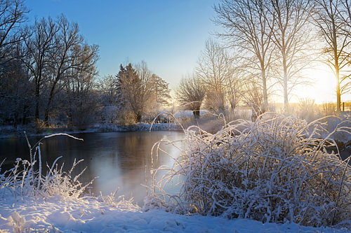 gefrorener See und schneebedeckte Büsche nach Sonnenaufgang, Landschaft an einem kalten Wintertag, K