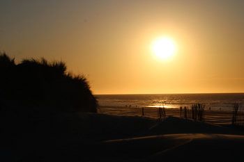 Goldene Stille