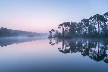 Mystieke Morgen in Oisterwijk van Henno Drop