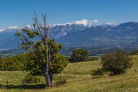 Mont Blanc overlooks the Haute-Savoie, France. by Peter Leenen