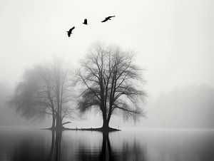 Oiseaux noirs et blancs sereins
