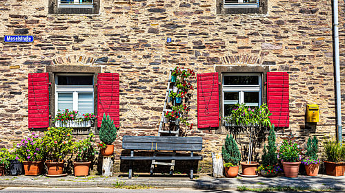Colour against stone, in the Eifel