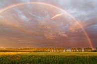 Regenbogen am Abendhimmel von Rolf Pötsch Miniaturansicht