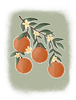 Oranges on a branch – Hand-drawn Mediterranean wall decoration