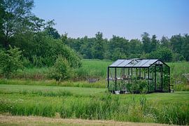 Just a small greenhouse