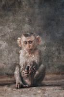 Fellow earthling