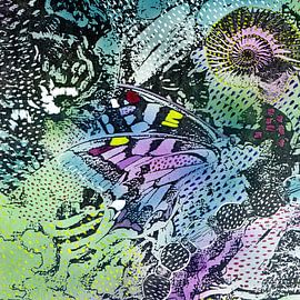 Muschel und Schmetterling aus der Serie Paradies von Claudia Gründler