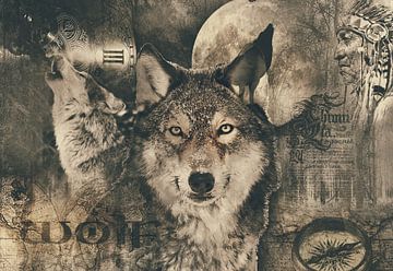 The wolf by Bert Hooijer