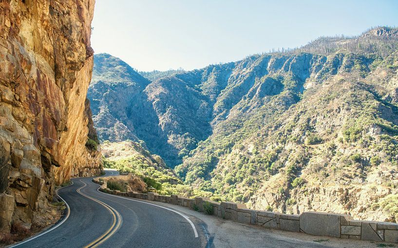 Kings Canyon National Park by Tashina van Zwam
