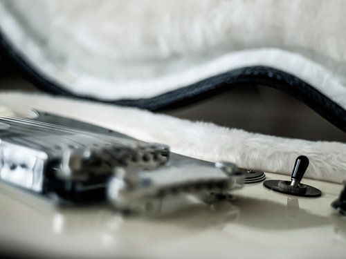 Detail Gibsons SG
