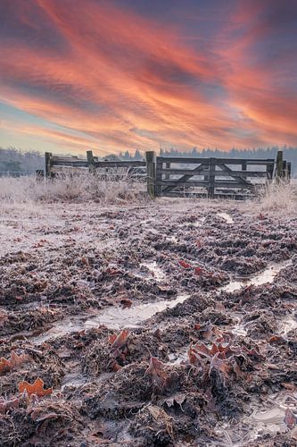 Matin froid avec soleil levant à la verticale sur Miranda Heemskerk