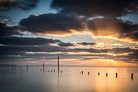 Woodstown sur Peter Bijsterveld