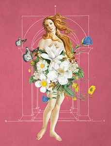 Botticelli's Venus