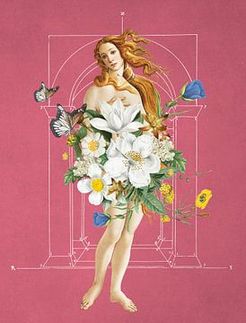 Botticelli's Venus van Marja van den Hurk