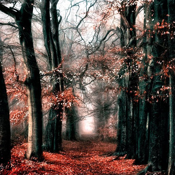Path of no Return III by Lars van de Goor