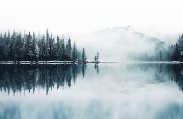 La magie de l'hiver au bord du lac