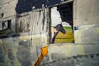 IJslands paard bij vliegtuigwrak Douglas DC3 in IJsland. van Ron van der Stappen thumbnail